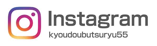 instagram-icon